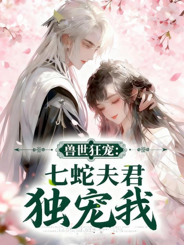 爱情公寓番外合集封面