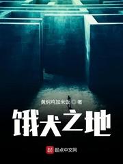 白衣传封面