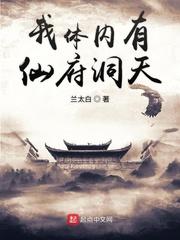 我大清天下无敌封面