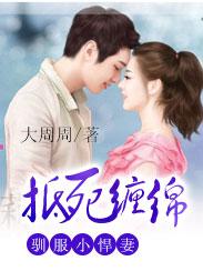 以惩为戒，臣服于你封面
