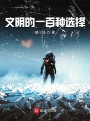 早安总统夫人阅读全文封面